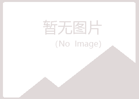 伊春新青夜山化学有限公司